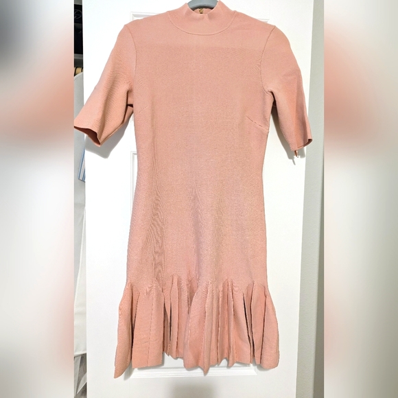 Ted Baker London Dusky Pink Fit and Flare Dress